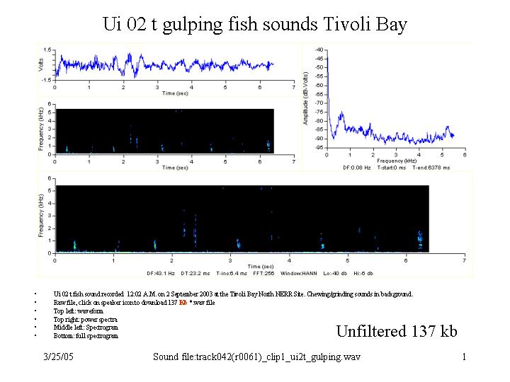 Unknown gulping sound